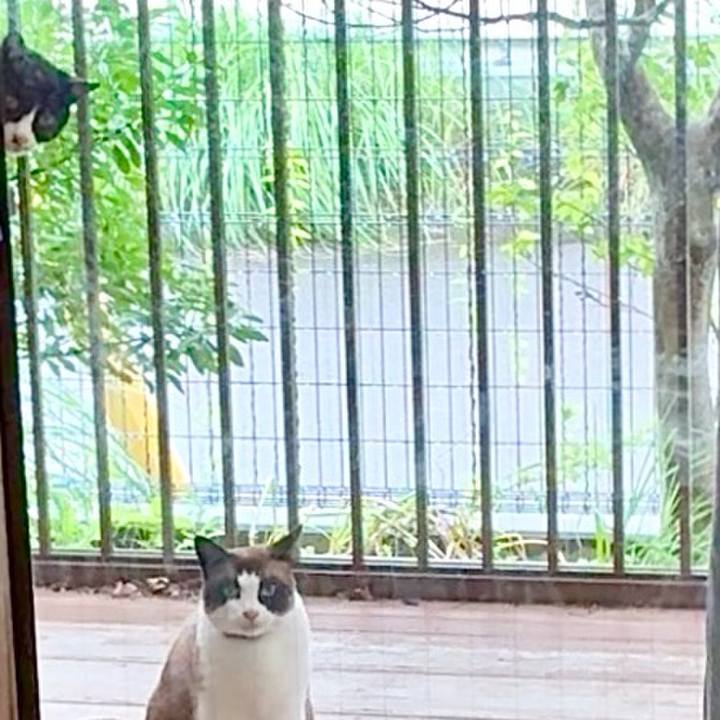 877072f5 57ed 480b 9269 13a2a92c11f7 1750593289958