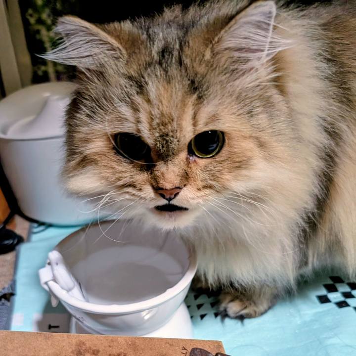 8770b987 0533 43df a424 2c90ed84258b 1761091764875