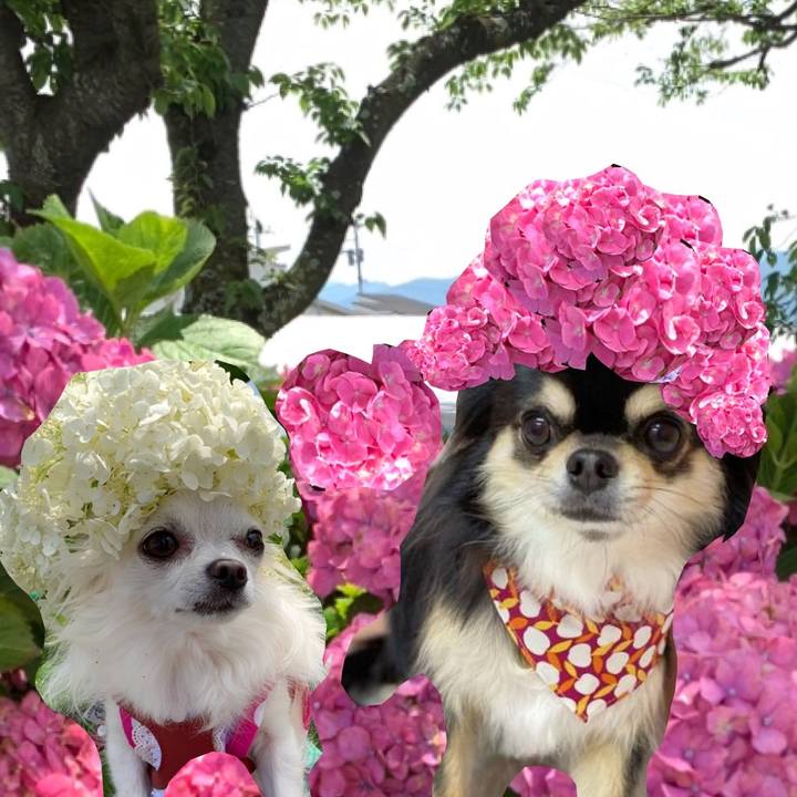 8770d37b cd5a 4428 a1b1 386b5ea8cbf2 1623073472452