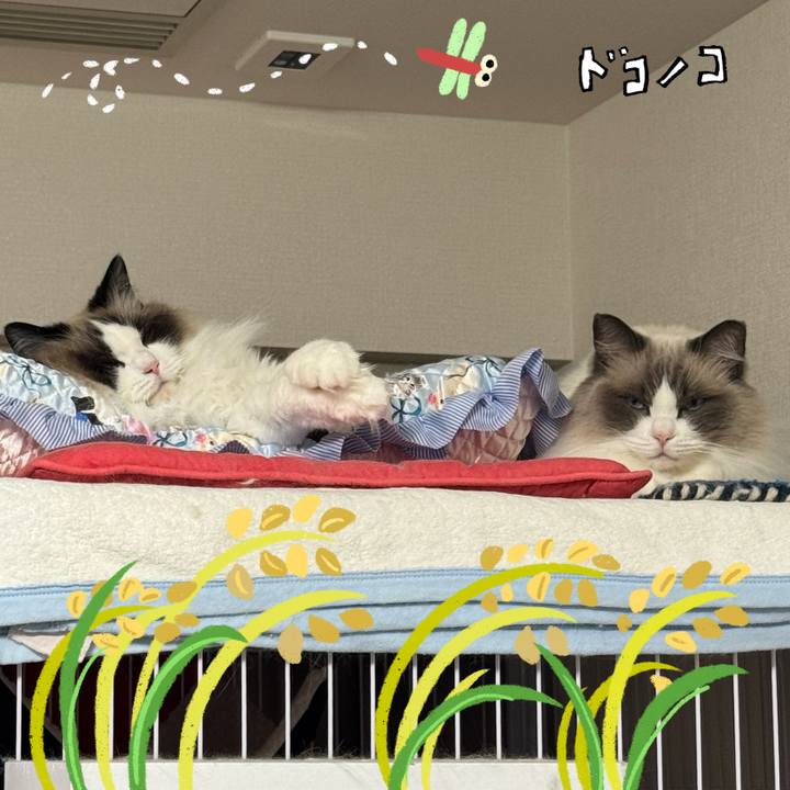 8770e76c 6d00 4f98 8754 2171c25112f4 1762059818901