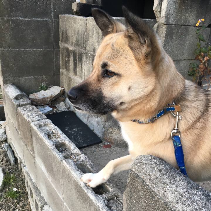 87710039 53f8 44b4 aa02 68ce9925e2b9 1517832238414