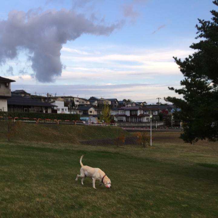 87713fbd 7827 419f 9328 c292157c357e 1509621696558