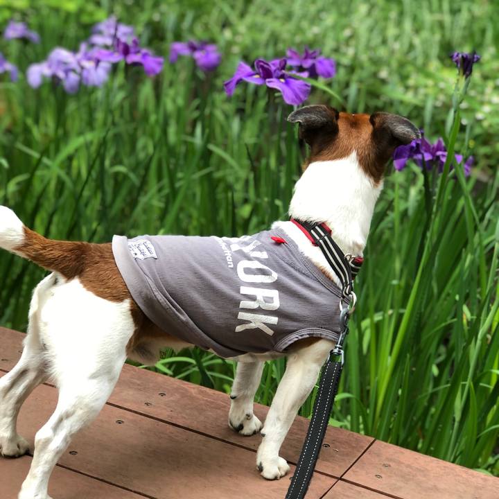 8771bd0c 8416 4d24 a1b7 e60f38002083 1654299259826