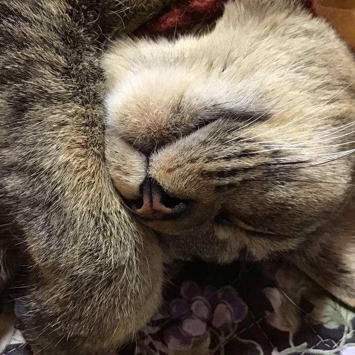 8771f3d0 0eba 4a0b a76d 9f9a873c9a6d 1639991548742