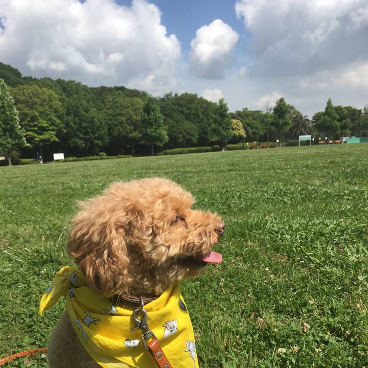 87721e2c c58e 4bd7 870a 2f33fcab61b3 1528160623732