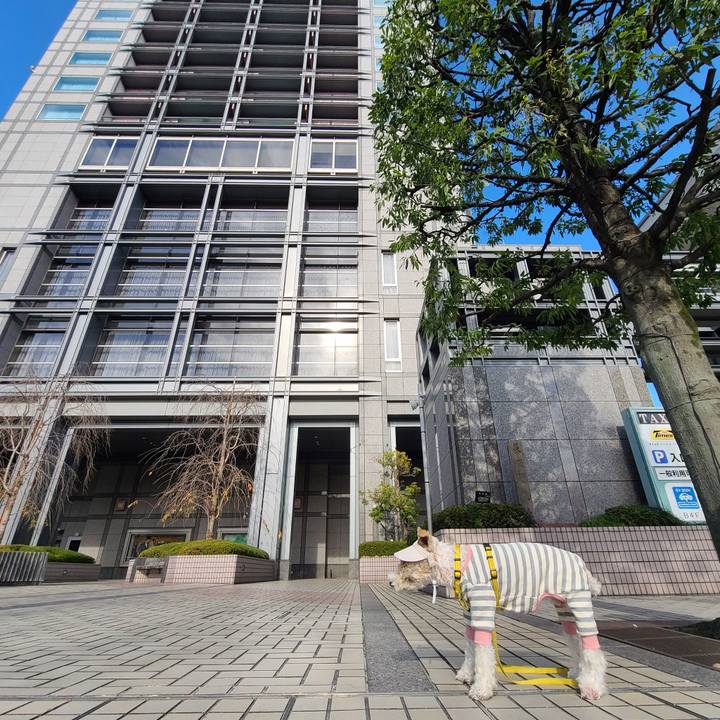 877244d5 7f78 4a99 99fd 9913ac9bd86c 1670063542148