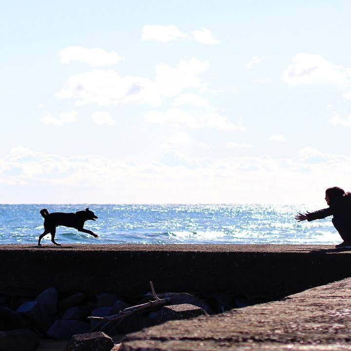 877247a4 18e6 4dd7 8091 ef1743e249e9 1598484495187