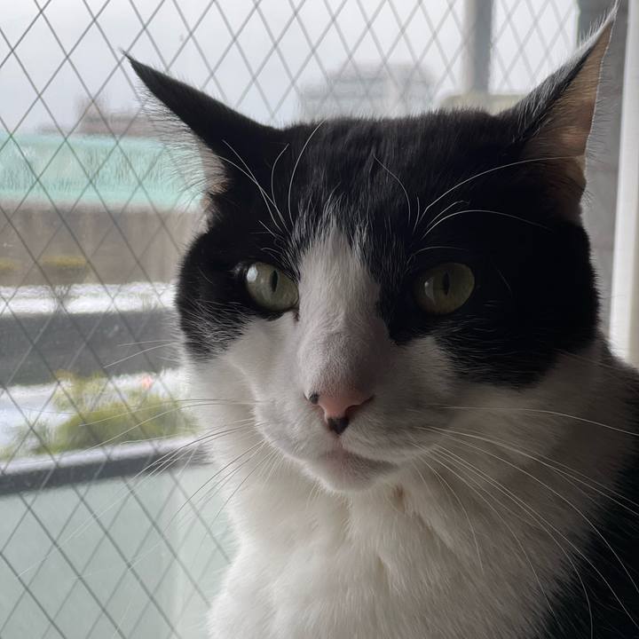 87724ccb 7a14 4bc0 9758 5da9f5546085 1707191274210