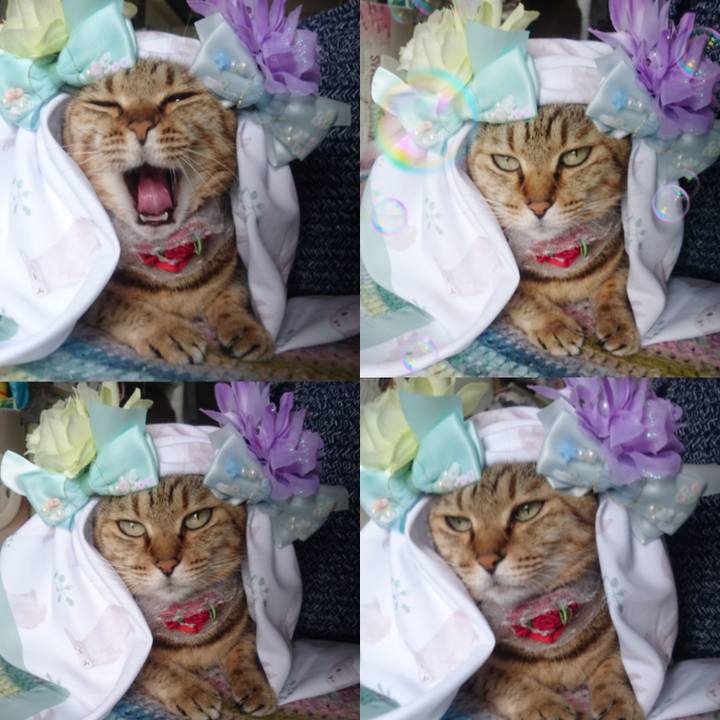 87725b90 68cf 4204 a133 f20624d17199 1759270604073