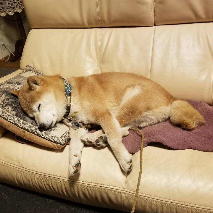 87725f99 1184 4c22 a794 2f3f6dbdc465 1707215823570