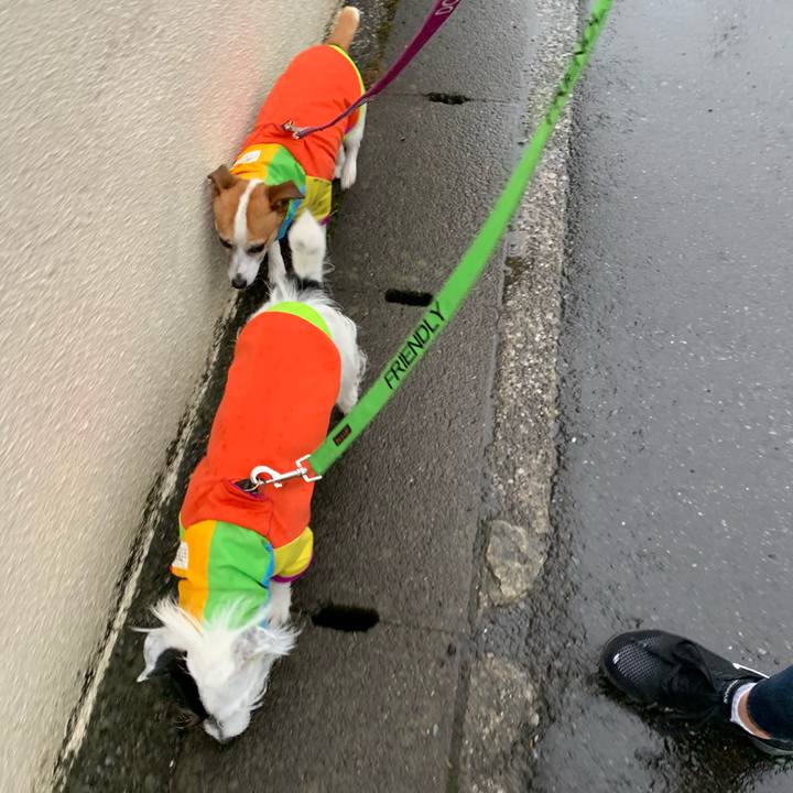 8772b164 ae4c 4625 889e e9c17d1e2f21 1615192052247