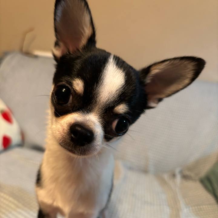 8772c8fc 2eb4 489c 9a6b 5572f16d24a7 1761824454990