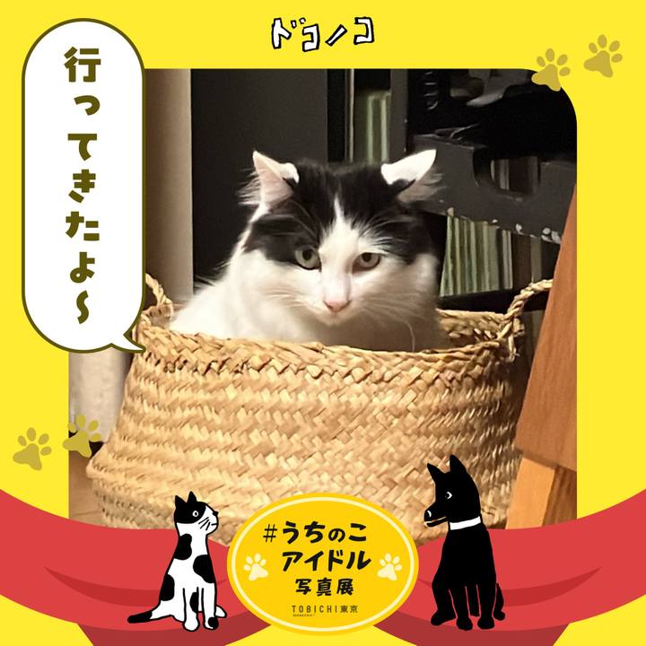 8772ecf8 853c 46b8 8107 8488d64bab3c 1762029895416