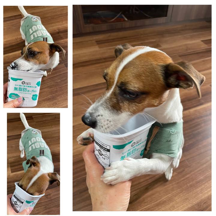 8772f9bf b987 4f0c 8338 818b92cbf71b 1694097992631