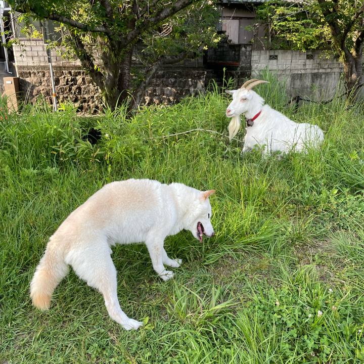 87730e85 7247 440d b7e1 2c46384e083a 1653839327866