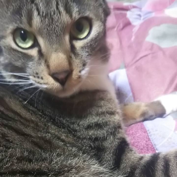 87736d6b 5547 451e 9091 ac7acc866088 1621764824663