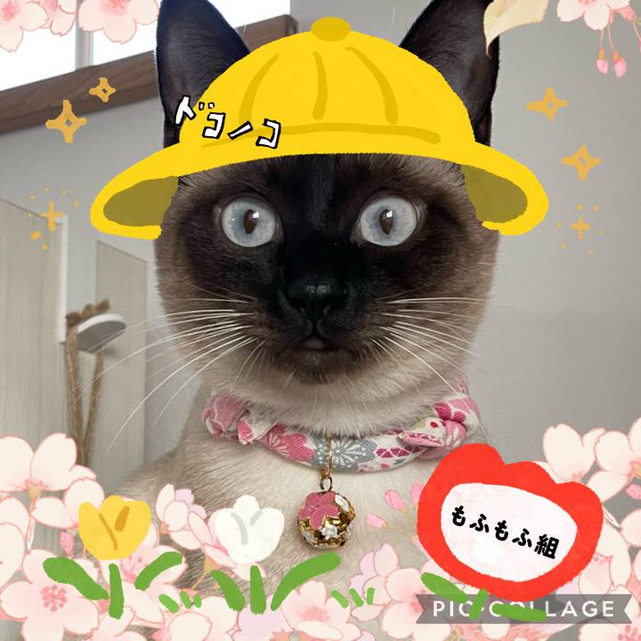 87738c83 c996 4ef7 9125 3ed6d211565e 1712394052872