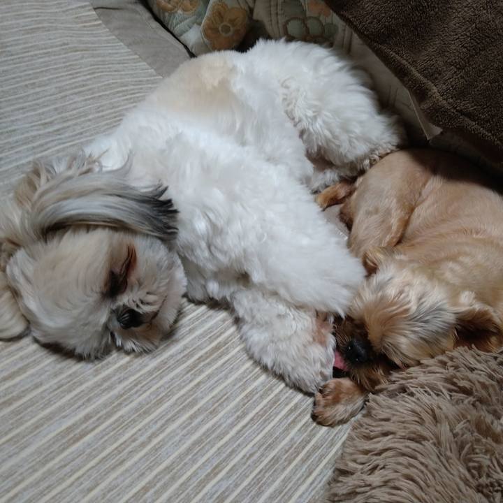 87738e20 5ad6 4626 b80e 9d67d1f50ba3 1620904269975