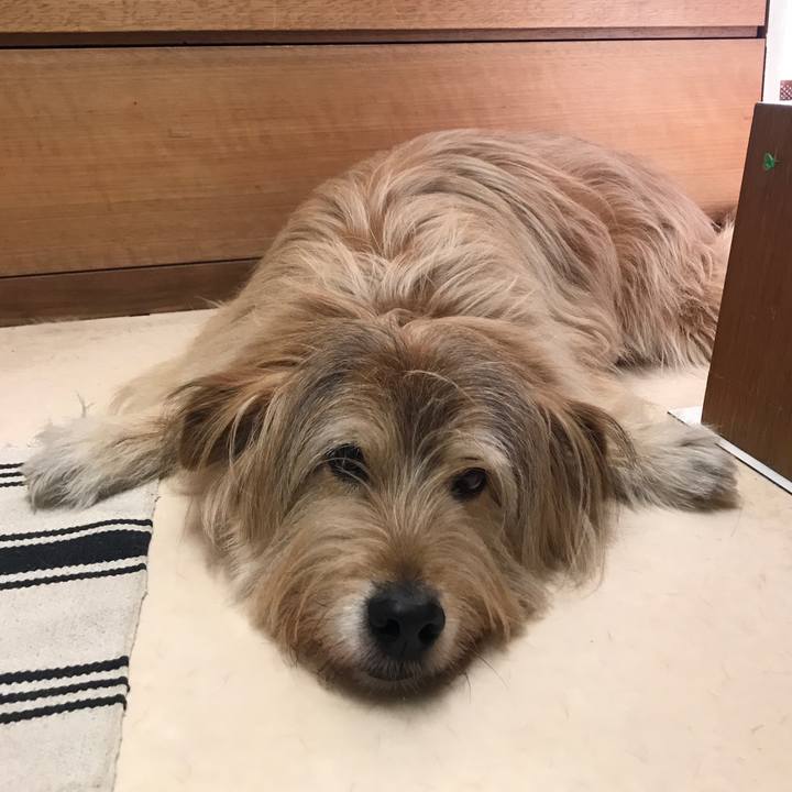 8773d95c f152 4016 b584 c38e4fa15224 1586997167536