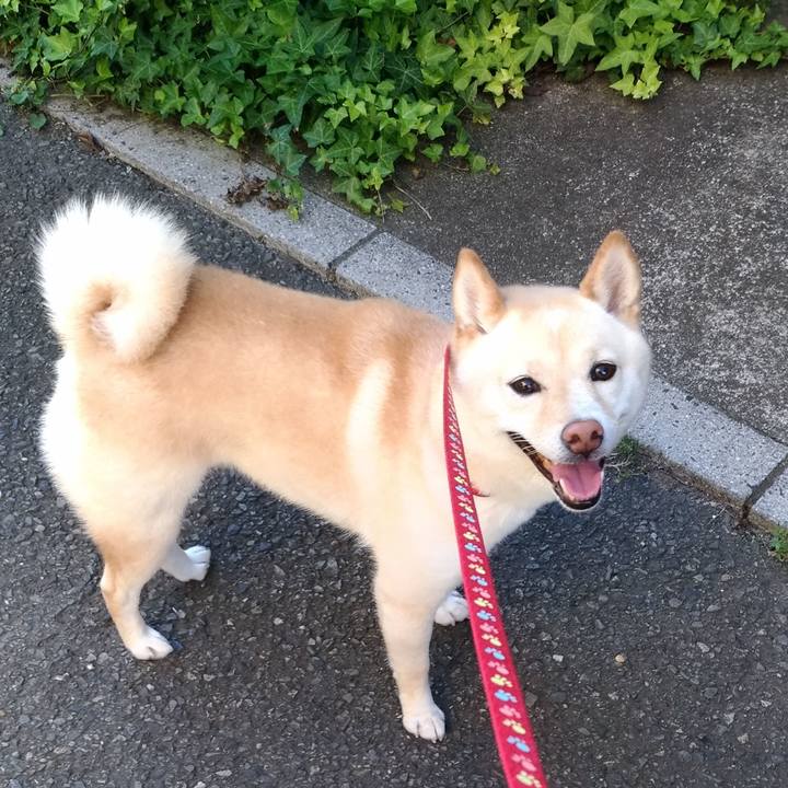 87740511 96cb 4b34 8702 cb4dda210861 1593685261588