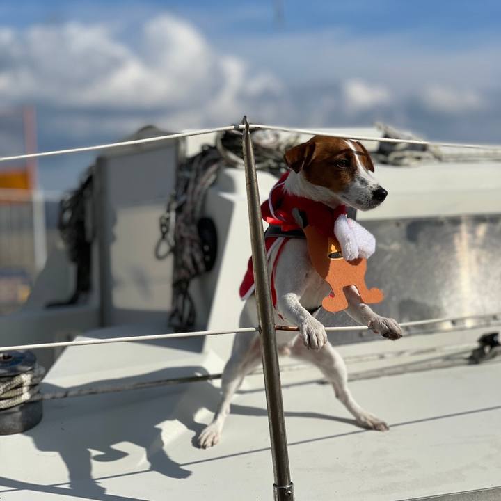 8774164d fc9d 4ddf ae5f 3c2f3fa9a3f4 1607860744965