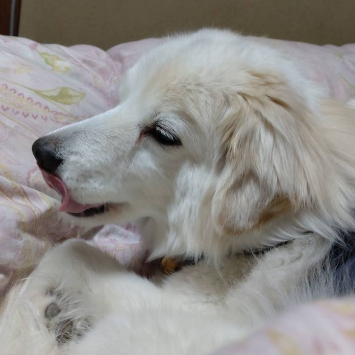 87741b0b fa13 43eb ade5 657c542e7608 1645838074573