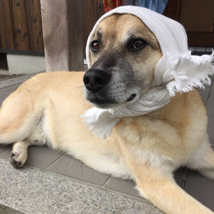 87742c22 c25e 45d1 80b9 d57edbb63999 1530923896021