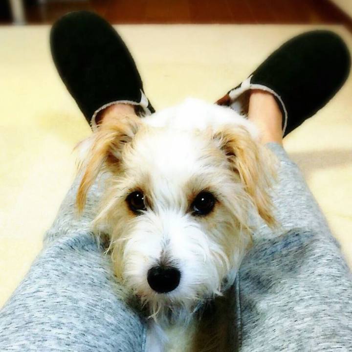 877453d7 37f8 4a1b af9b e2a99a041445 1763591258491