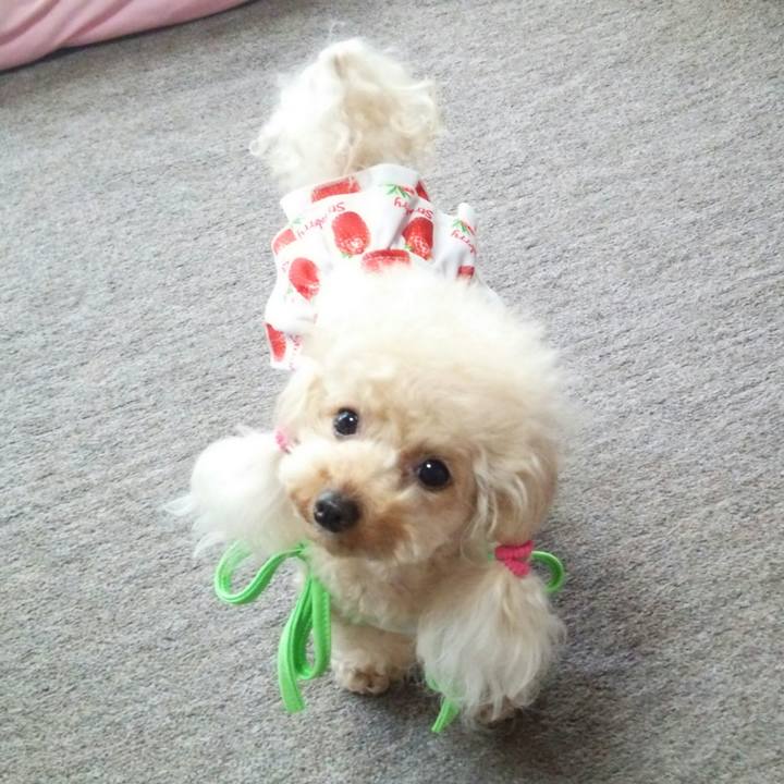 87745dd0 f5a1 456b b6cd 76c4a258506f 1534921999802