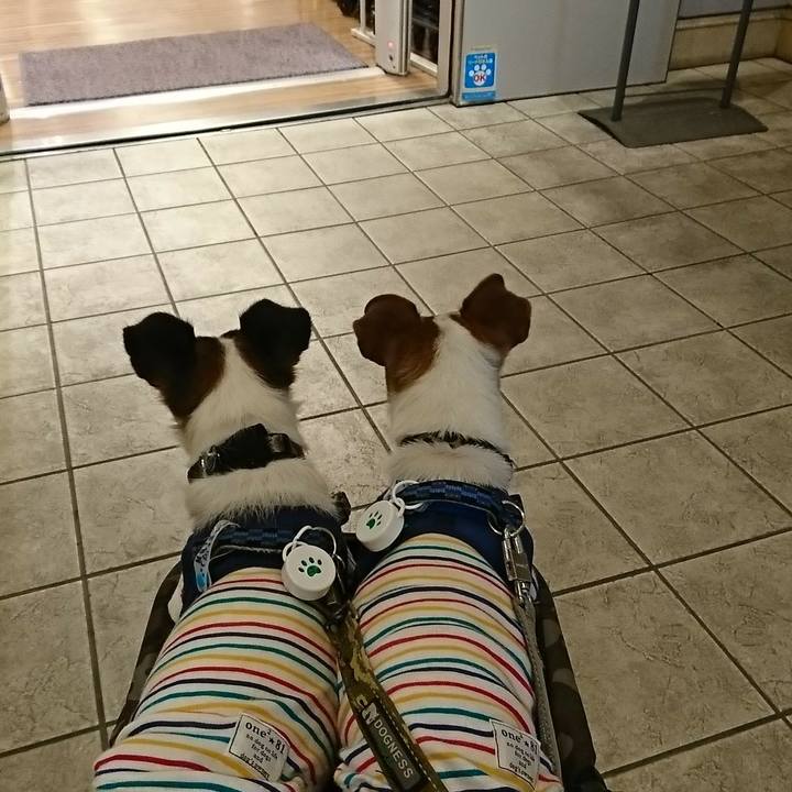 87746a01 dab2 4bfa ac60 05892d33ec99 1529480412838