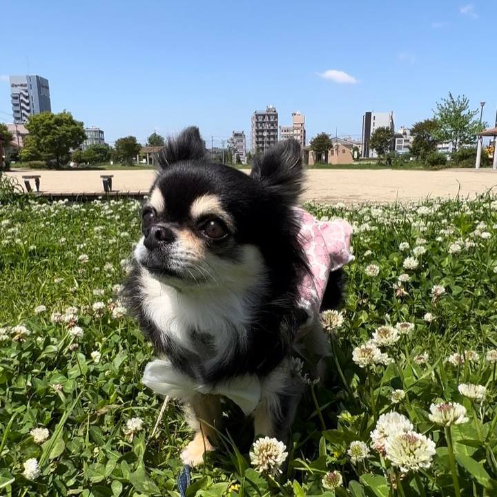 87746b97 8715 49da a8dd 88dbee5b4cca 1682562618121