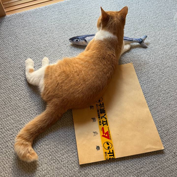 8774738d 6eba 477f b7c7 406b25568f35 1768530152357