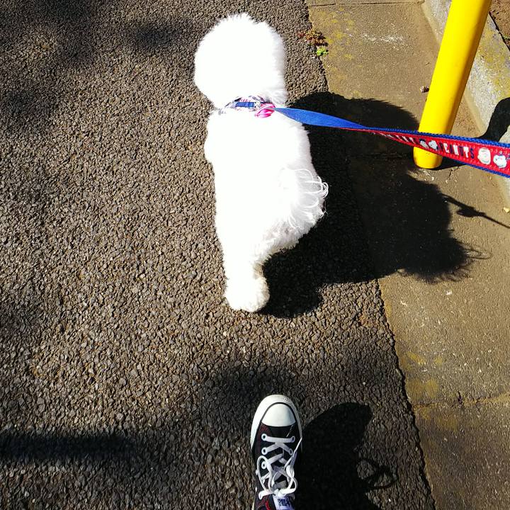 8774fd96 75d6 4821 aec9 b760619c8a74 1541240209865