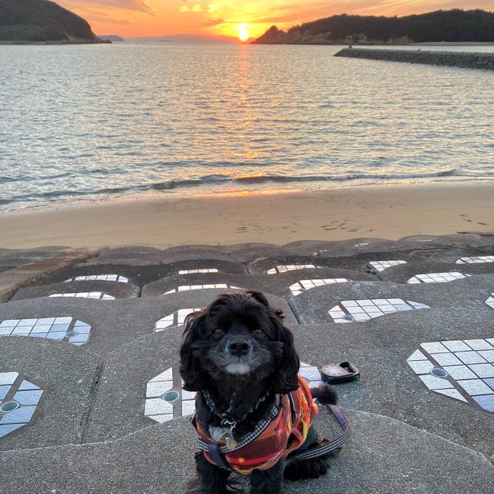 87752fe4 56ec 4cab 9c58 71c0ca5a0caa 1643548209665