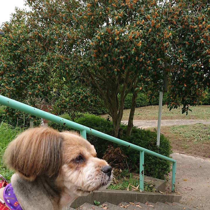 87754509 f2e6 4a11 8a46 6efa8404549d 1569889160264