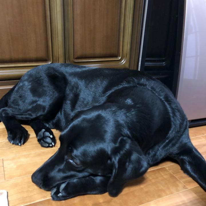 87755a1c bbd2 449c aca8 f15e3bc10e04 1556982395281