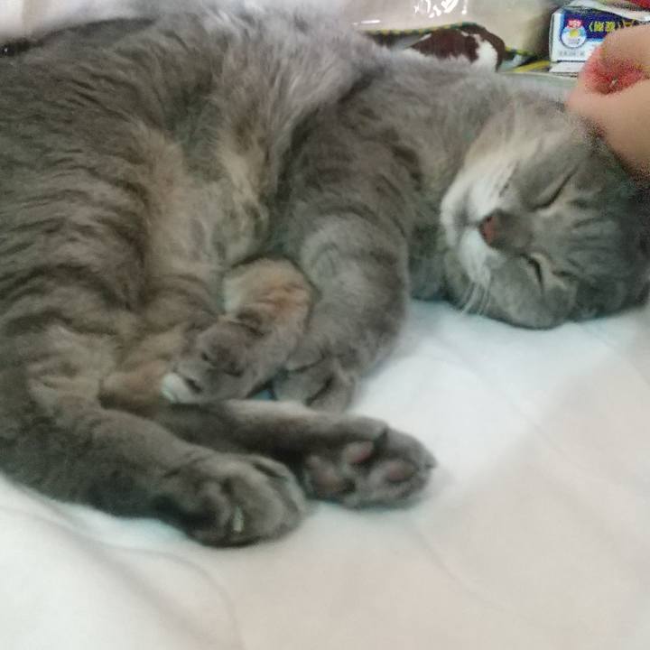 877575ac 978e 4c61 8894 870bdaf62add 1671845858964