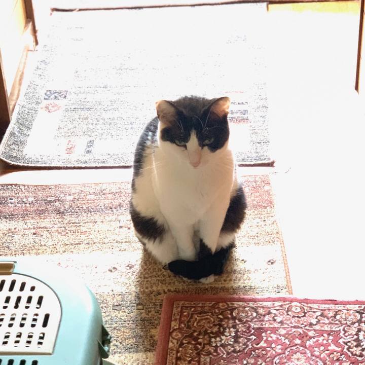 8775d686 275e 4a5c ac9d be5c0b2a739e 1560472216914