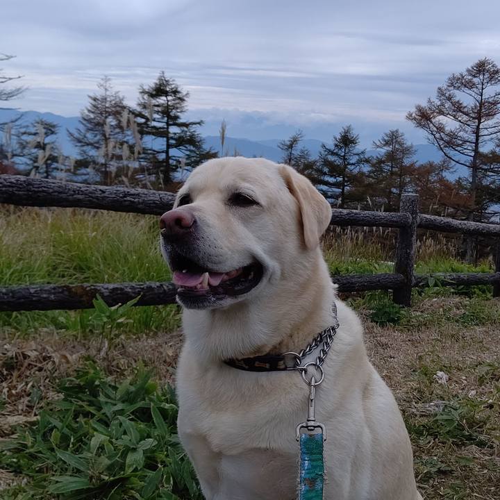 8775edc8 97a3 47ee 8ed6 ccd728395fca 1664787542734