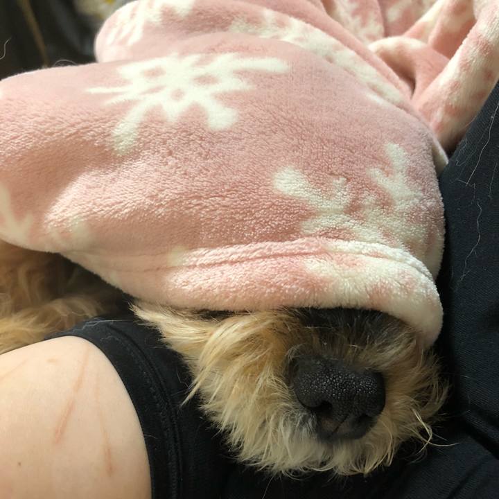 8775ffb2 5aac 4dea a2e5 9ee73198874c 1573133580083