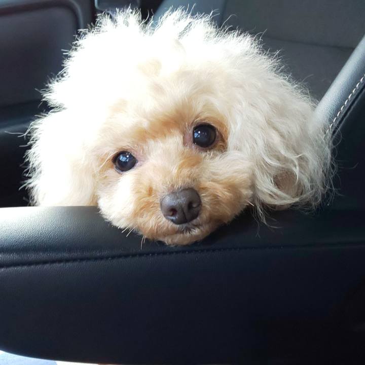 8776477d 9eb3 453c aced 078cf91fdb5d 1580644120267