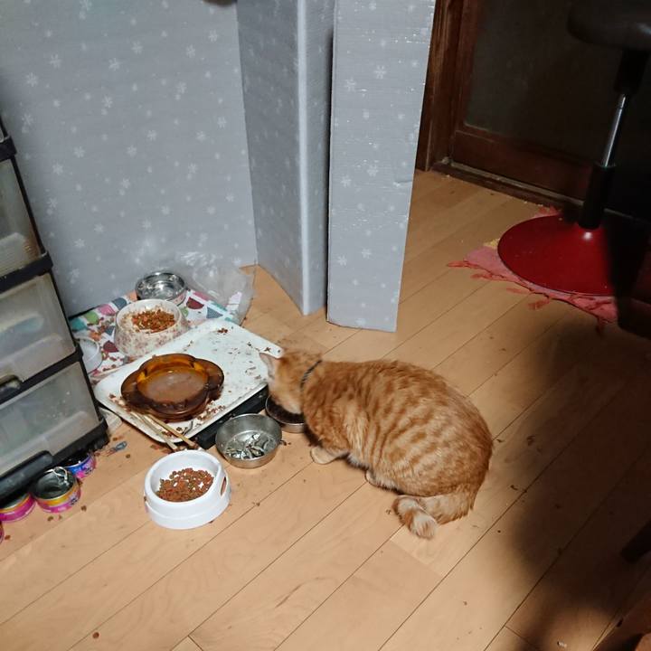 87769865 3625 4deb 8c7b 3546e538105e 1641848647409