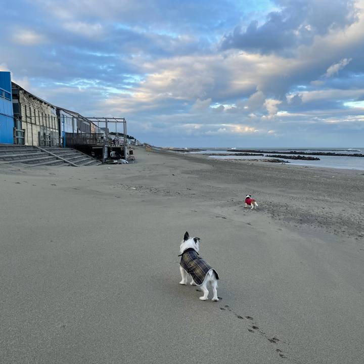 8776a455 743c 4bcc 987a 86d0af2d6aee 1735083756862