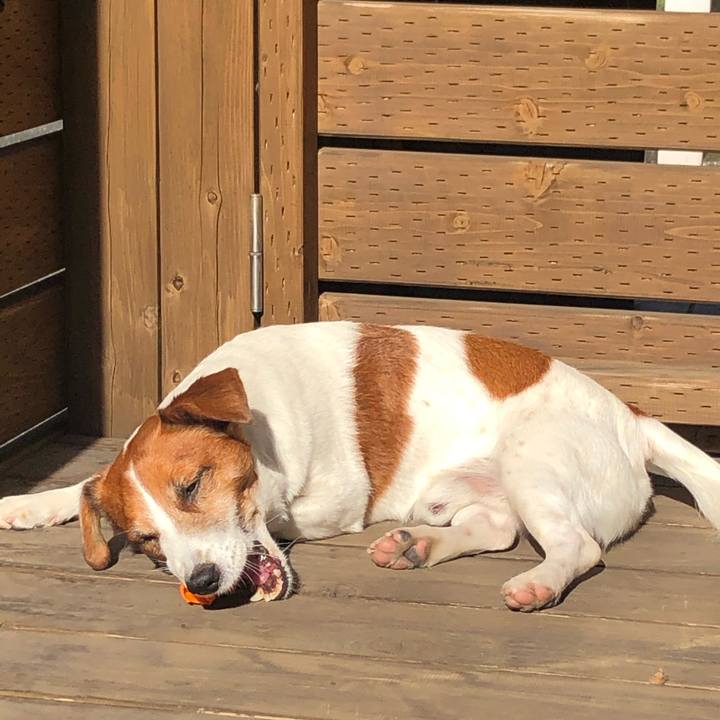 87778480 095d 451b b816 621723a98968 1580198458033