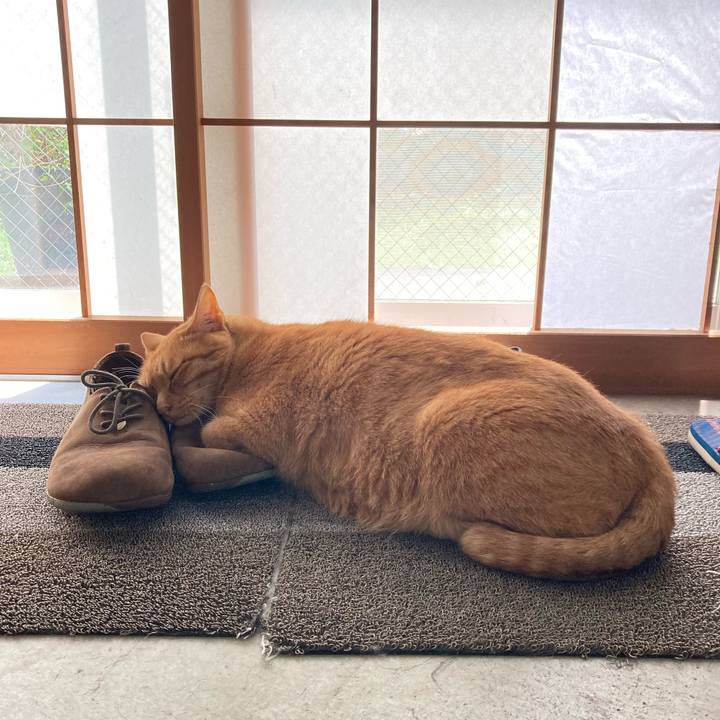 87778b19 304a 48b0 9b9d 9a25816bf247 1626094347301