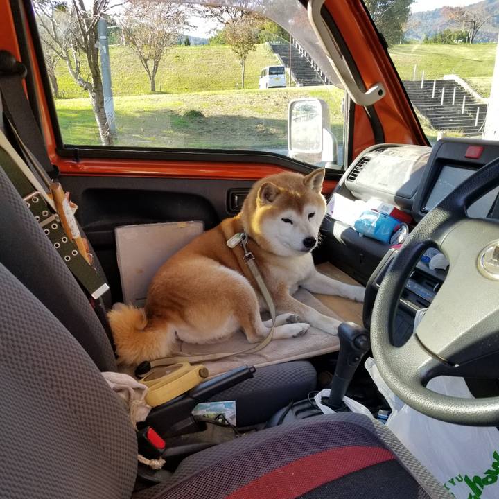 8777ac1b 4641 4434 8b19 ac122f3426e7 1666935127404