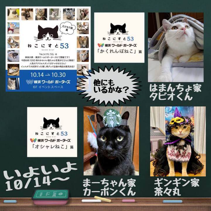 8777ad64 0ff8 43c8 8f33 dfde334b5ec5 1665611947333