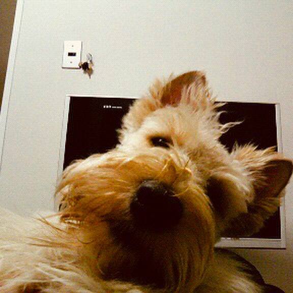 8777b721 f469 4672 9f6e 96eef15110fb 1558582632466