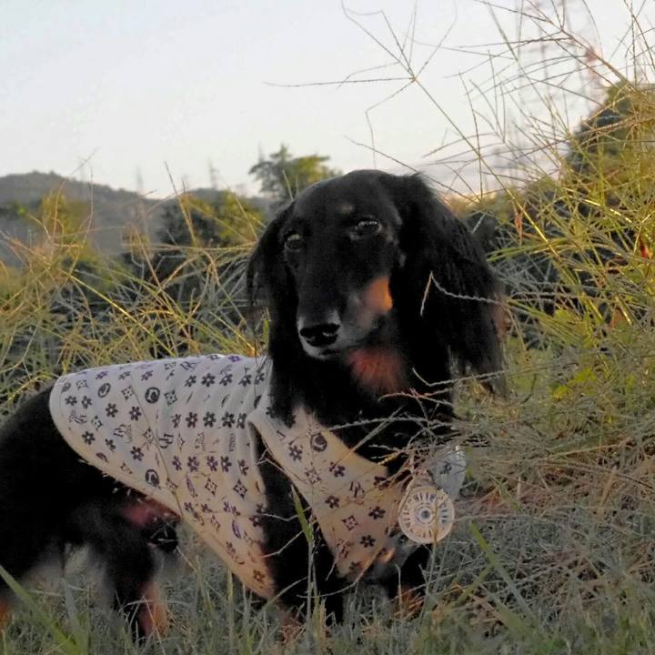 8777d40e 150a 43fd 91a7 cce804ebb0b0 1538956089542