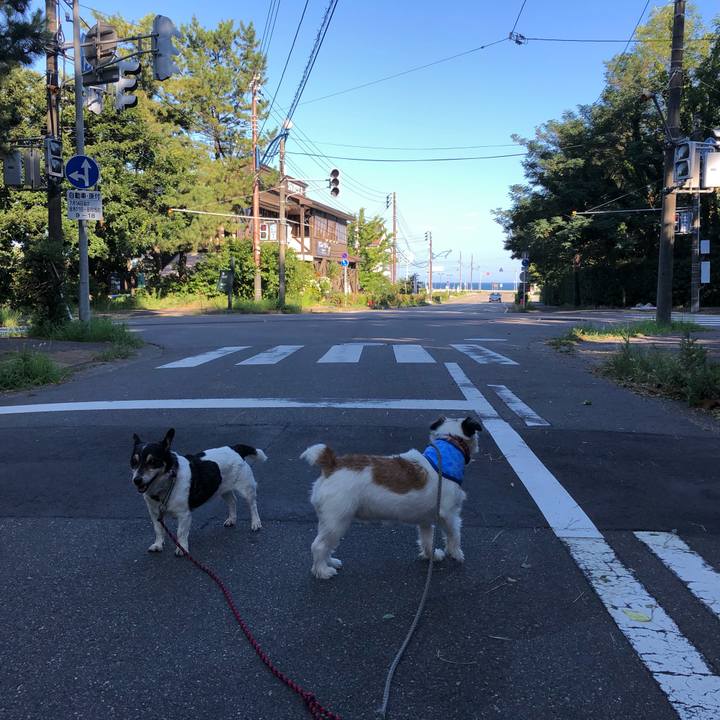 8777e1db e04c 4dc4 beeb 8b6cef55982a 1565830714810